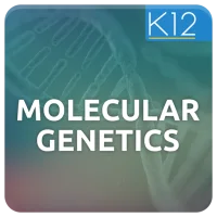 Genetics and Molecular Biology